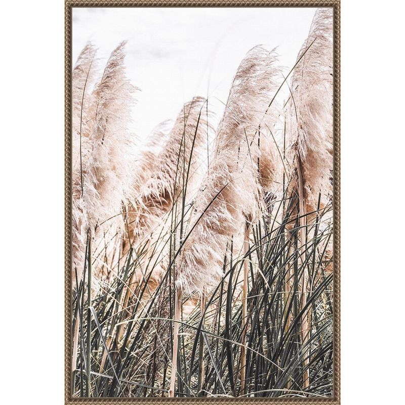 Pampas Grass Photography on Canvas with Bronze Frame