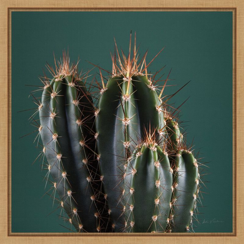 Green and Brown Framed Cactus Canvas Wall Art 16 x 16-in.