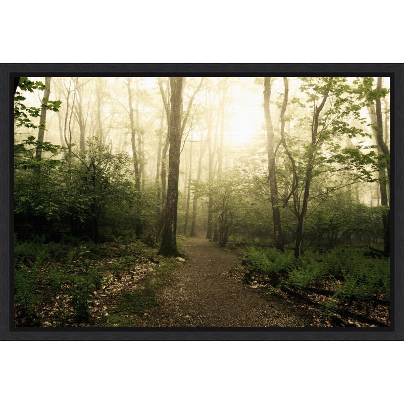 Appalachian Trail Forest Path Black Framed Canvas Wall Art