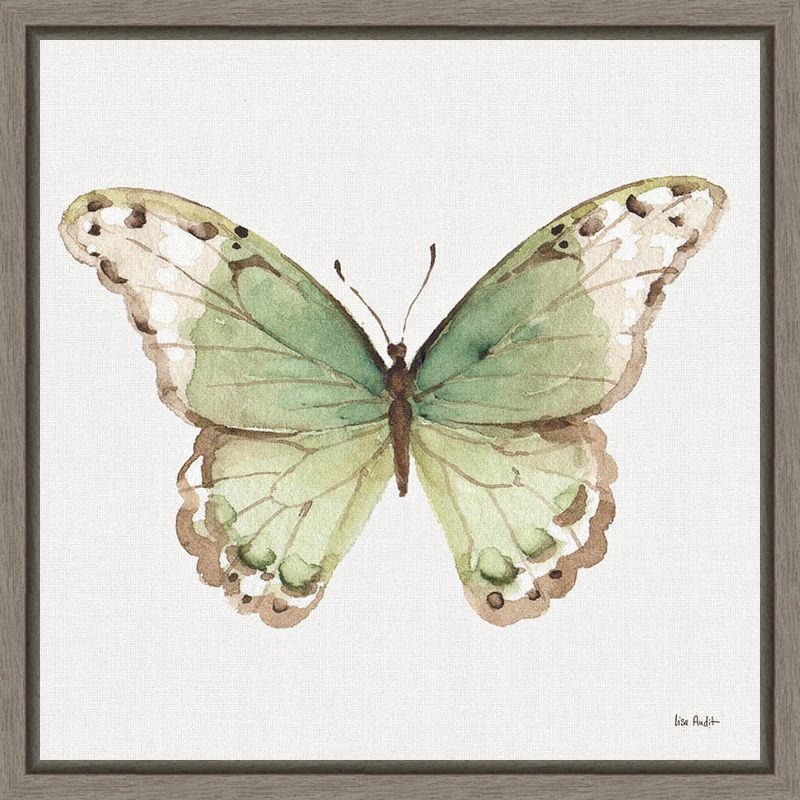 Colorful Breeze XII Butterfly Green and Brown Canvas Art with Greywash Frame