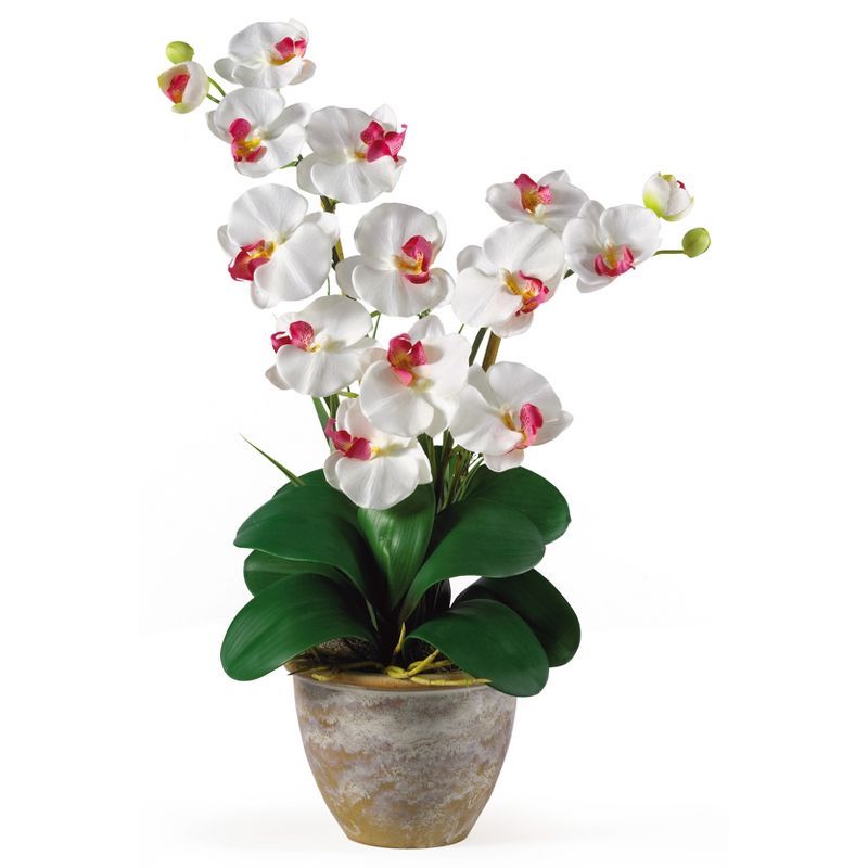 Orchid Bliss White Double Stem Phalaenopsis Silk Tabletop Arrangement