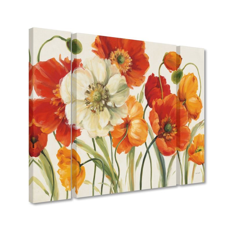 Poppies Melody I Floral 3-Piece Canvas Set