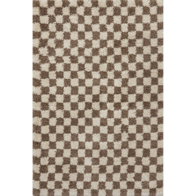 Beige and Brown Checkered Shag Synthetic Area Rug 2' x 3'