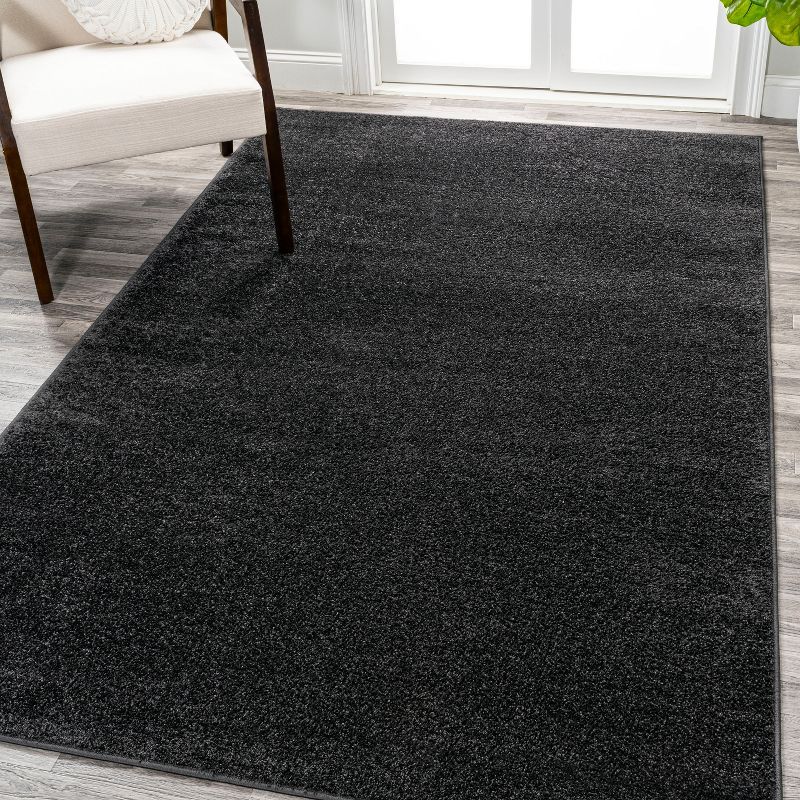 Black Solid Low-Pile Synthetic Indoor Area Rug 3x5