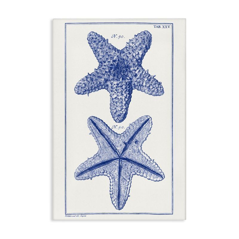 Blue Starfish Studies Nautical Canvas Wall Art, 16" x 24"