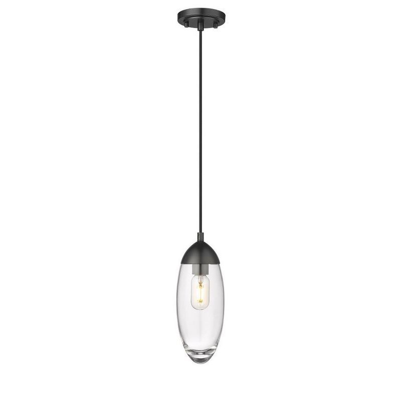 Matte Black Glass and Nickel Indoor/Outdoor Pendant Light