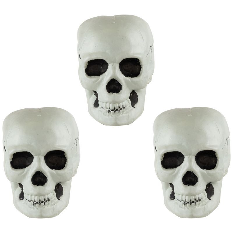 Set of 3 Realistic Plastic Halloween Skull Decorations