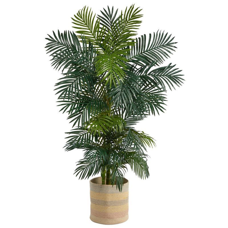 Tropical Escape Golden Cane Palm in Handmade Multicolor Cotton Planter