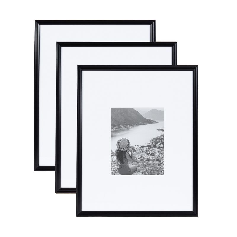 Black Polystyrene 16x20 Picture Frame Set with Glass Cover