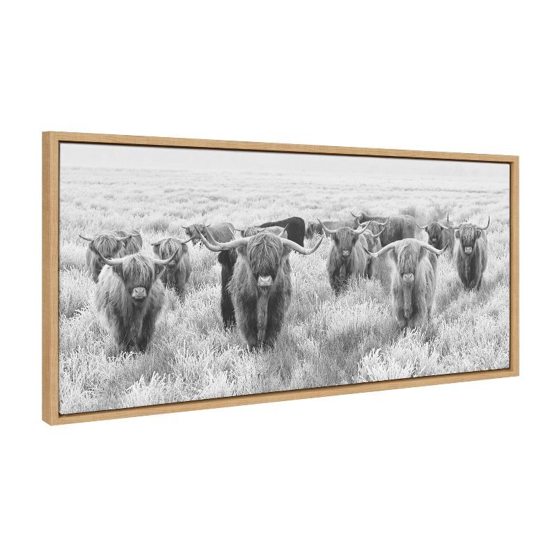 Herd of Highland Cows Black and White Canvas Print with Natural Frame