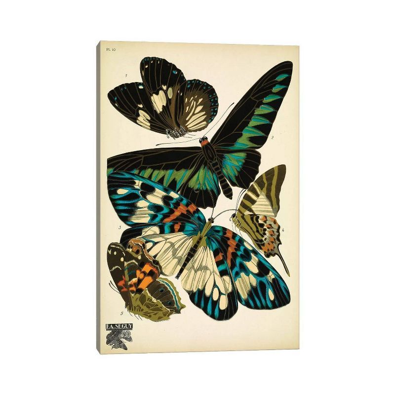 Papillons Butterflies Multicolor Canvas Wall Art 18x12