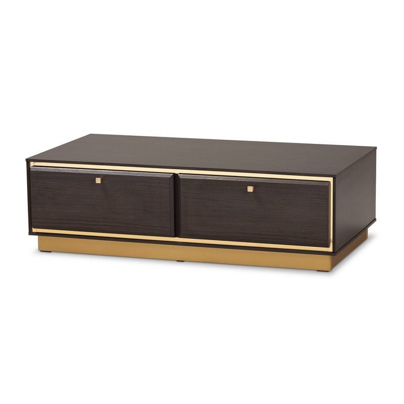 Modern Glamour Dark Brown Wood and Gold Metal Storage Coffee Table