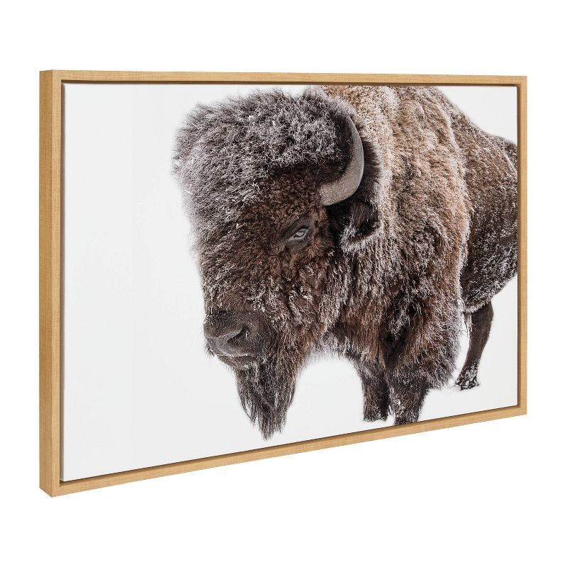 Large Natural Framed Bison in Snow Canvas Print