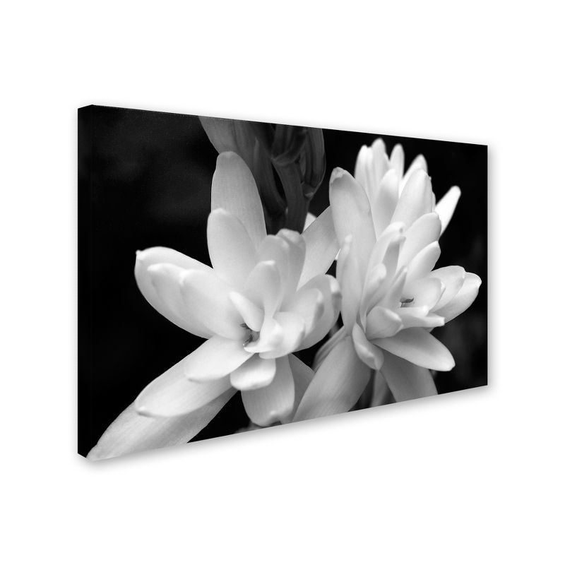 Tuber Rose Black and White Canvas Wall Art with Floater Frame