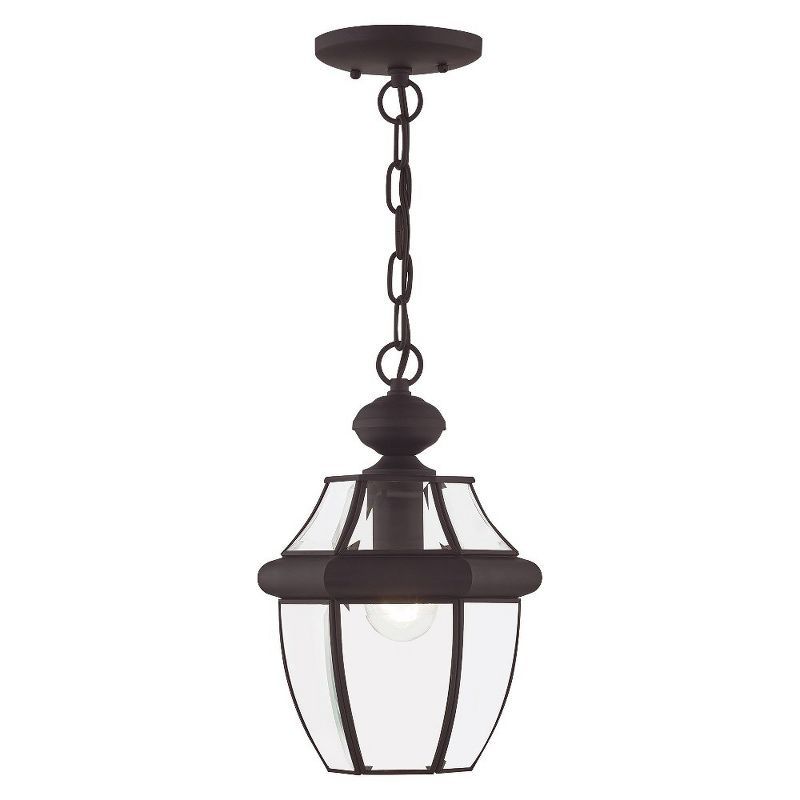 Bronze Clear Glass Outdoor Hanging Pendant Light