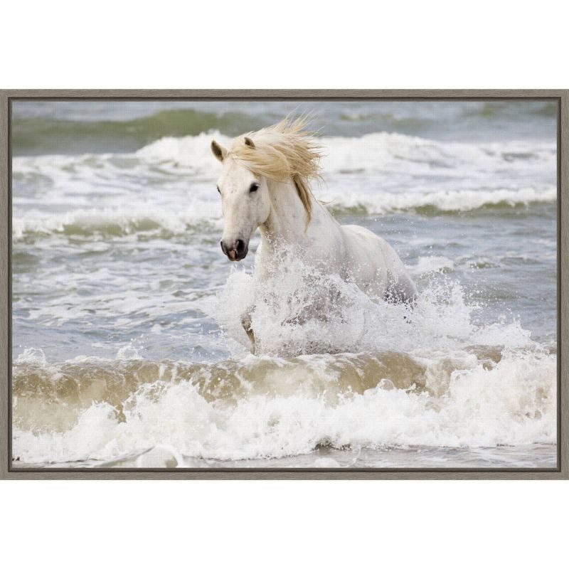 27" x 19" White Horse in Surf Canvas Print