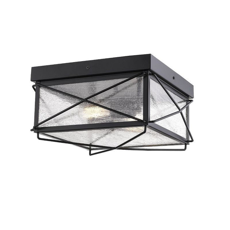 Powder Coat Black Glass 2-Light Outdoor Flush Mount