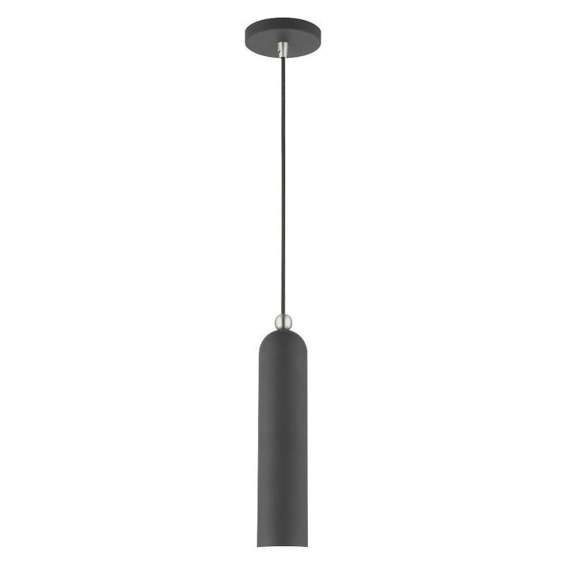 Scandinavian Gray Brass and Glass 1-Light Indoor/Outdoor Pendant