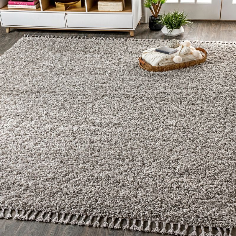 Gray Rectangular Reversible Shag Area Rug with Tassels