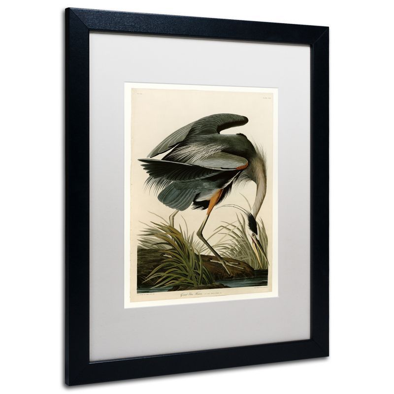 Great Blue Heron Graphic Art on Canvas with Black Frame