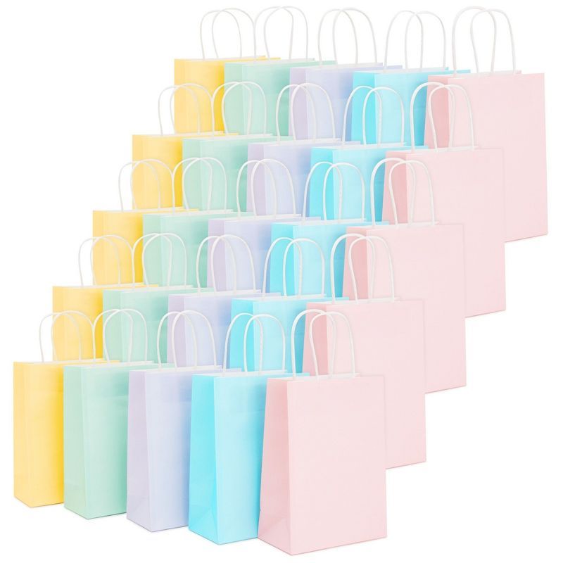 25-Pack Pastel Paper Gift Bags with Handles