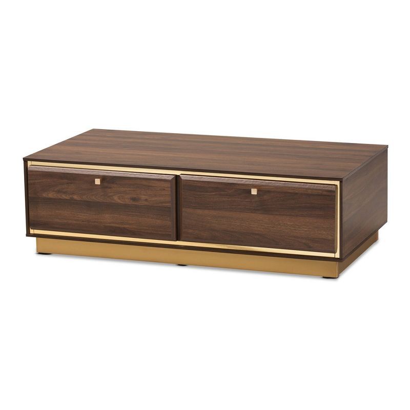 Walnut Brown Wood and Gold Trim Rectangular Coffee Table with Storage