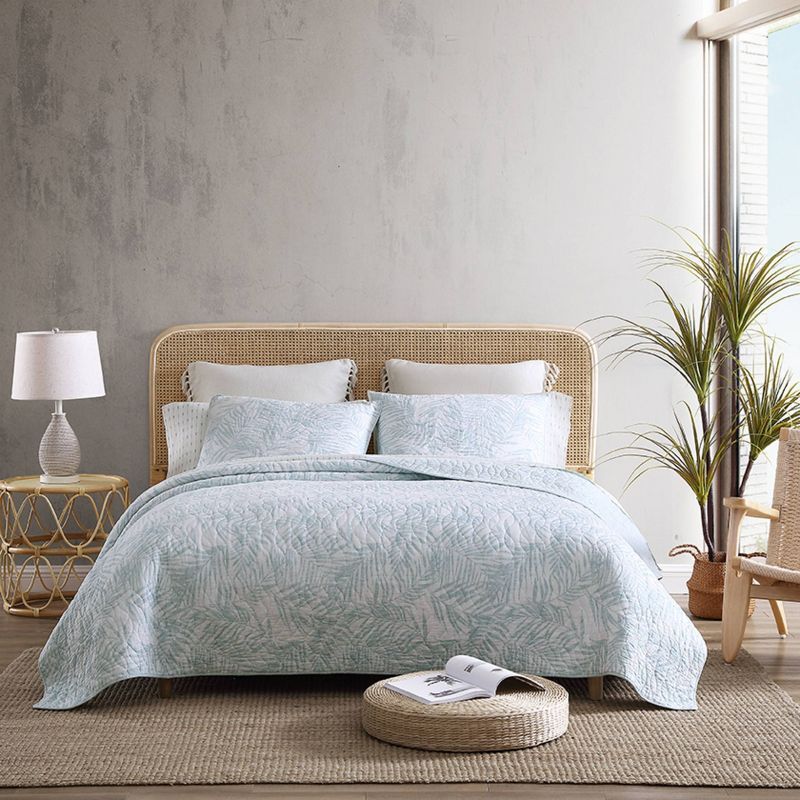 Light Blue Cotton King Quilt Set with Reversible Shams