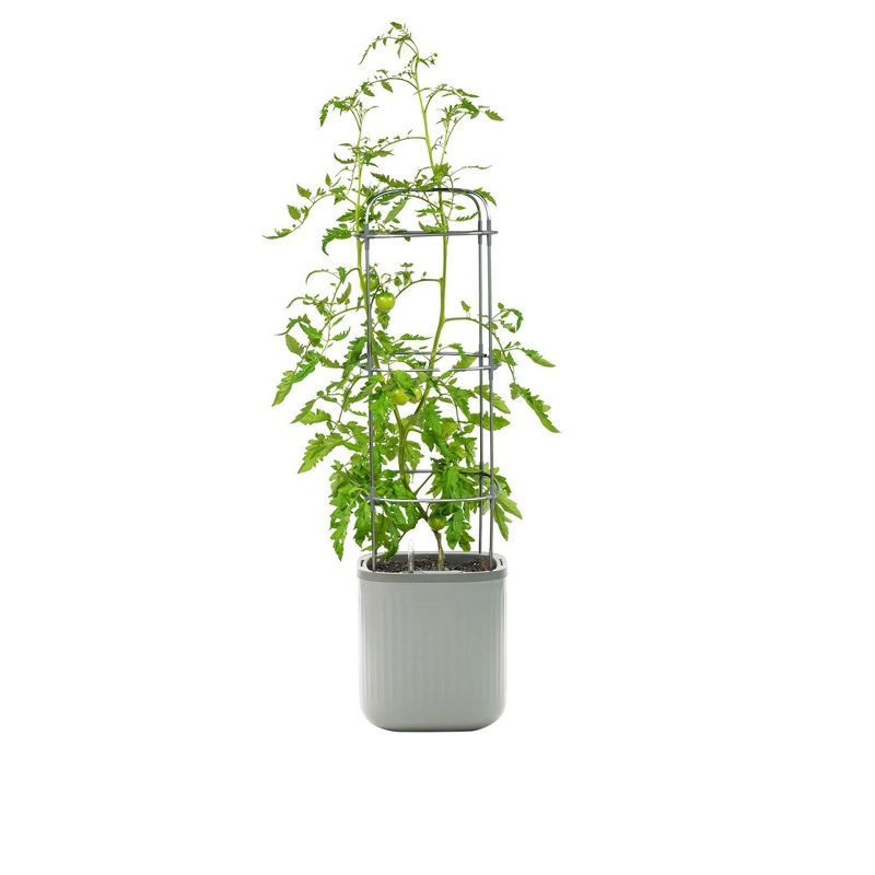 Fog Gray Self-Watering Indoor Outdoor Planter with Trellis