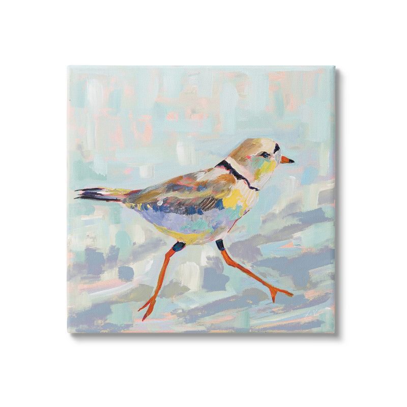 Coastal Plover Abstract Bird Canvas Wall Art