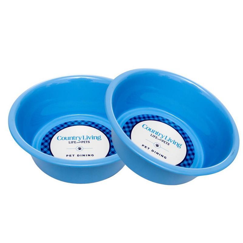 Set of 2 Blue Non-Slip Stainless Steel Dog Bowls