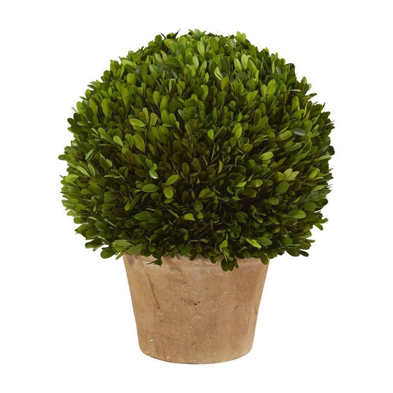 18.5" Green Boxwood Potted Arrangement for Outdoor Use