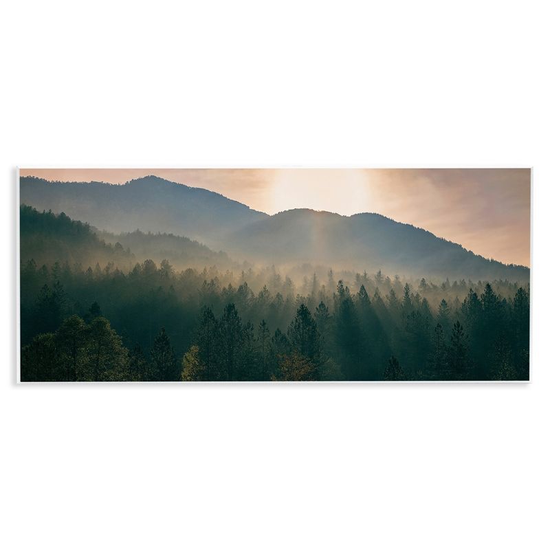 Morning Sun Over Misty Trees 17" x 7" Wood Wall Art