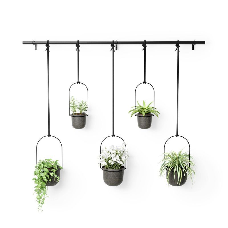 Black Adjustable Hanging Planter Set with Recycled Pots