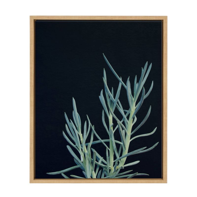 Natural Framed Botanical Succulent Canvas Wall Art, 18x24