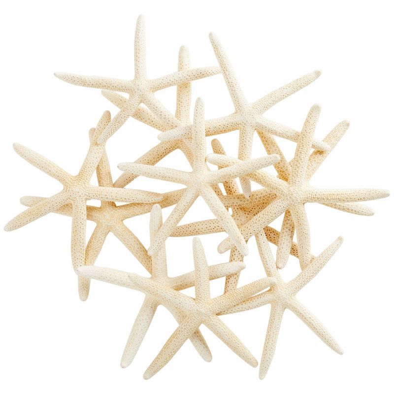 12 Pack White Finger Starfish for Nautical Decor and Crafts