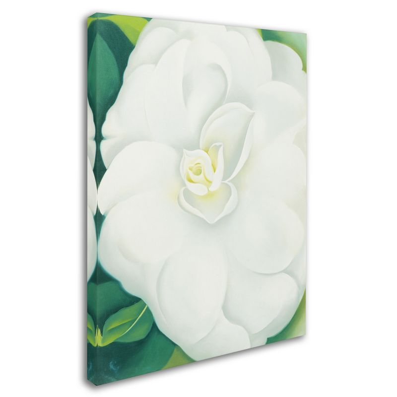 White Camelia Giclee Print on Canvas with Floater Frame