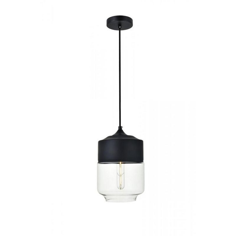 Black Matte Pendant Light with Clear Glass Shade