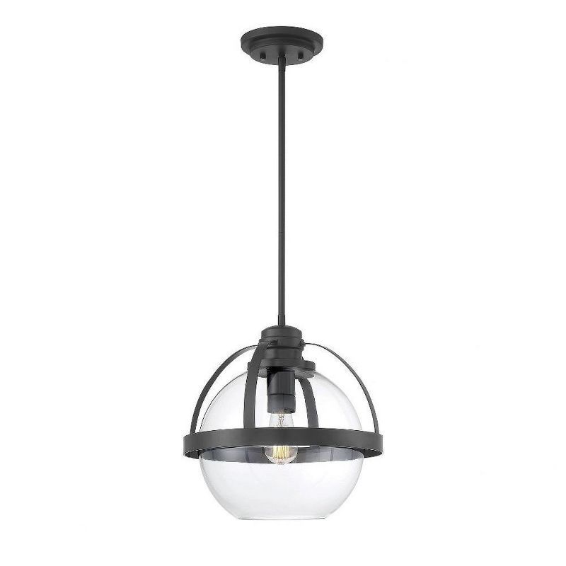 Matte Black Adjustable Globe Pendant Light with Clear Glass Shade