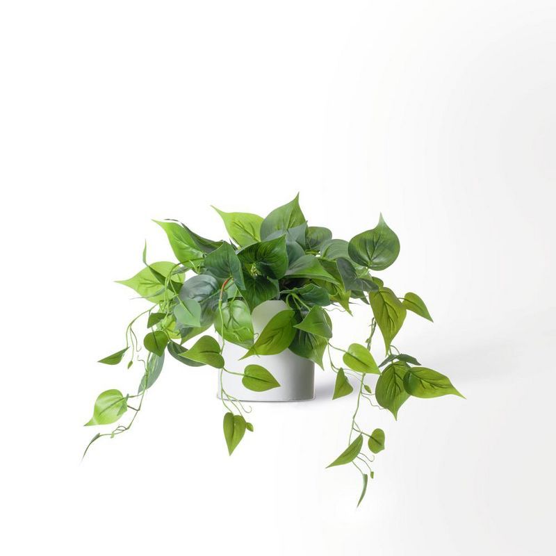 Potted Green Ivy in White Ceramic Tabletop Planter