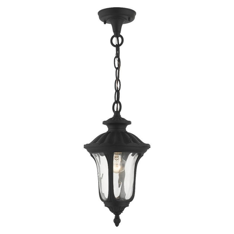 Oxford Textured Black Hand Blown Glass 1-Light Outdoor Pendant