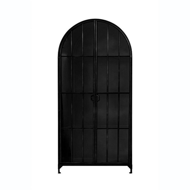 Arched Black Iron and Glass Office Storage Cabinet