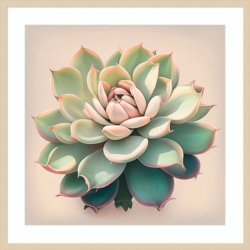 Echeveria Succulent Earth Tones Lithograph in Wood Frame