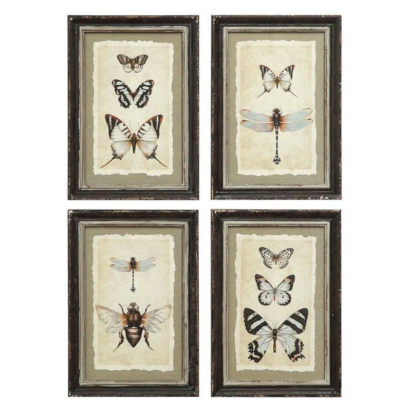 Wood Framed Vintage Insect Prints Set of 4