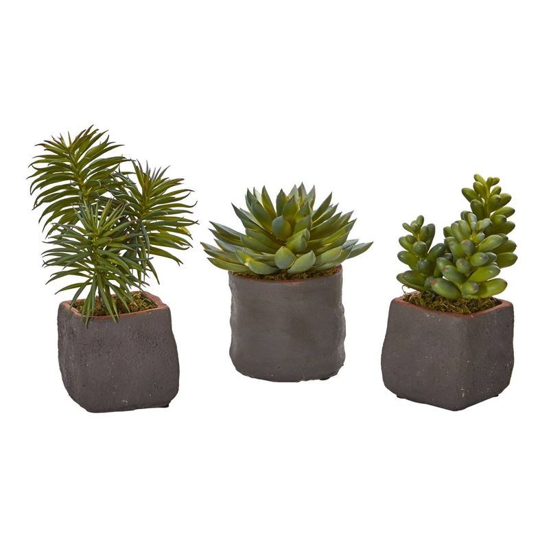 Set of Three Green Faux Succulent Plants in Ceramic Pots