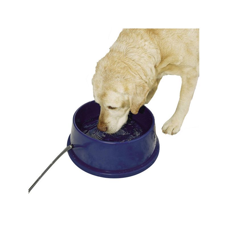 Blue Stainless Steel Heated Pet Water Bowl, 96 Ounces