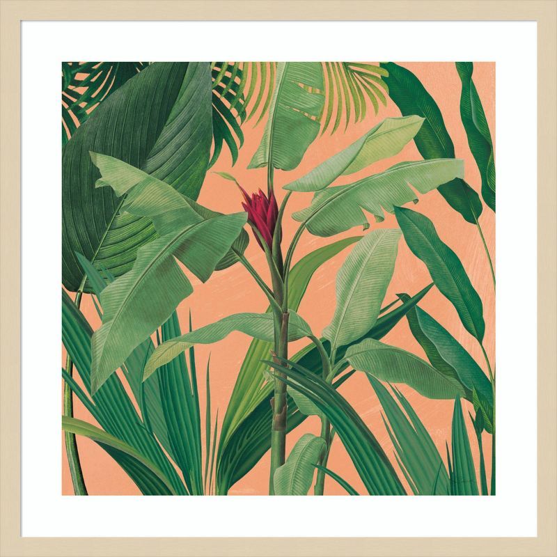 25" x 25" Tropical Botanical Print with Hardwood Frame