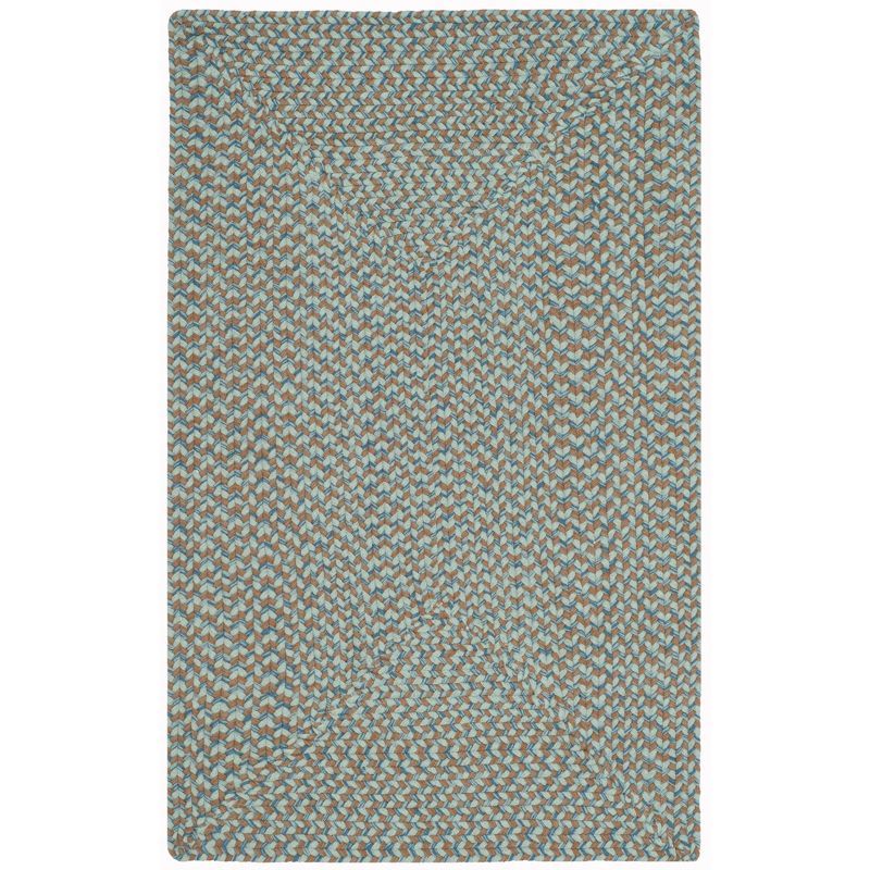 Gray and Multi Braided Cotton Reversible Area Rug