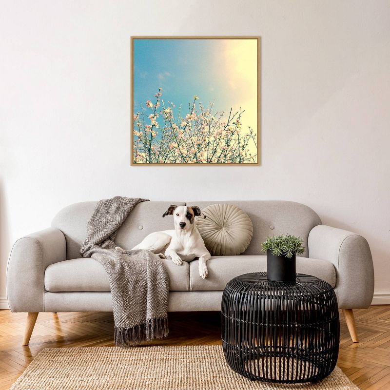 Springing Pink I Contemporary Canvas Print with Maple Floater Frame