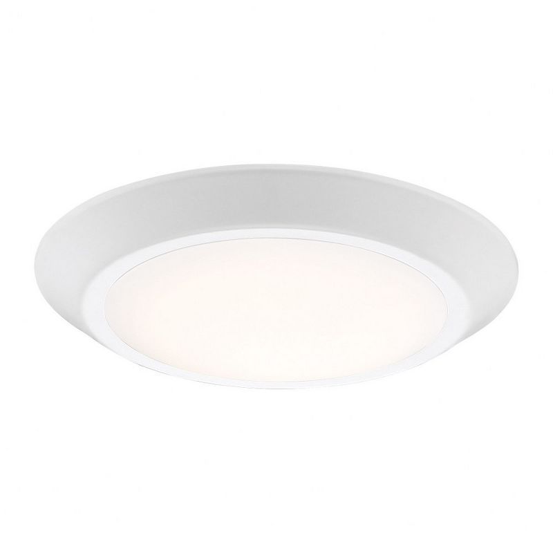 White Glass LED Indoor/Outdoor Flush Mount Light