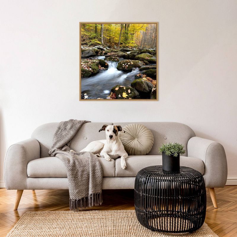 Autumn Rush Scenic Landscape Canvas Print with Maple Floater Frame